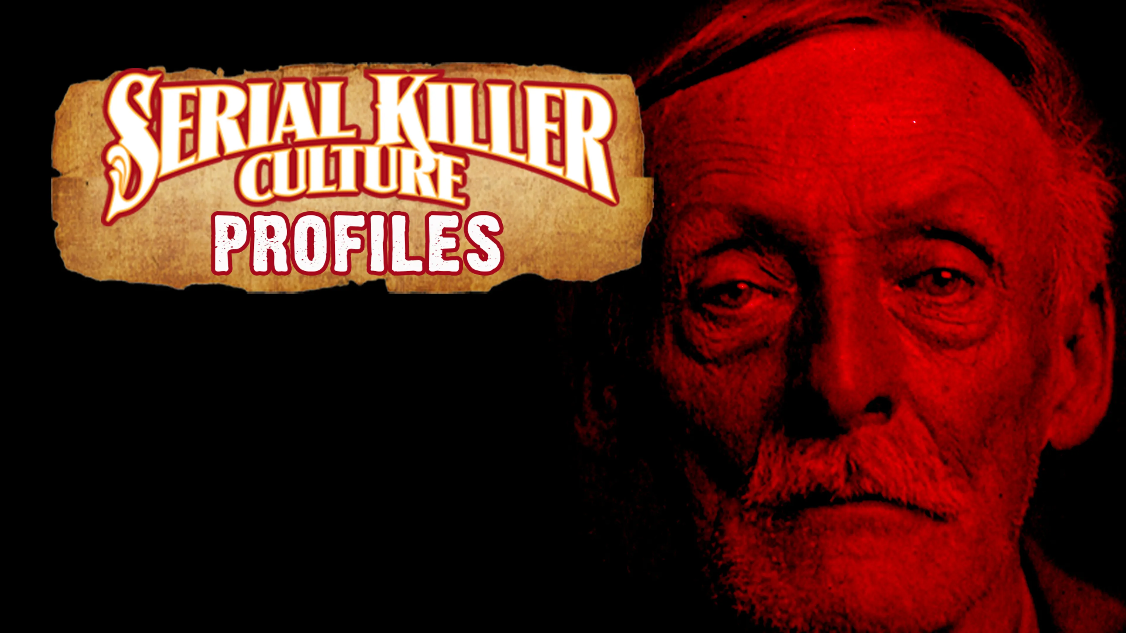 Serial Killer Culture Profiles poster